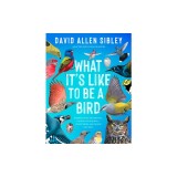 What It's Like to Be a Bird (Adapted for Young Readers): From Flying to Nesting, Eating to Singing--What Birds Are Doing, and Why