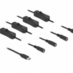 Cablu USB Type-C la 4 x DC 5.5 x 2.1 mm cu switch T-M 1m, Delock 86802