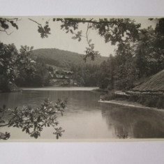 Sovata(Mures):Lacul Ursu,carte postala foto Viluș & Comp.-Vila Lucia,necirc.1932