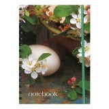 Notebooks Egg and Blossom