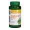Extract Standardizat din Frunze de Maslin Vitaking 60cps