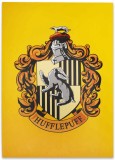 Cumpara ieftin Carnet A5 - Harry Potter - Hufflepuff | Half Moon Bay