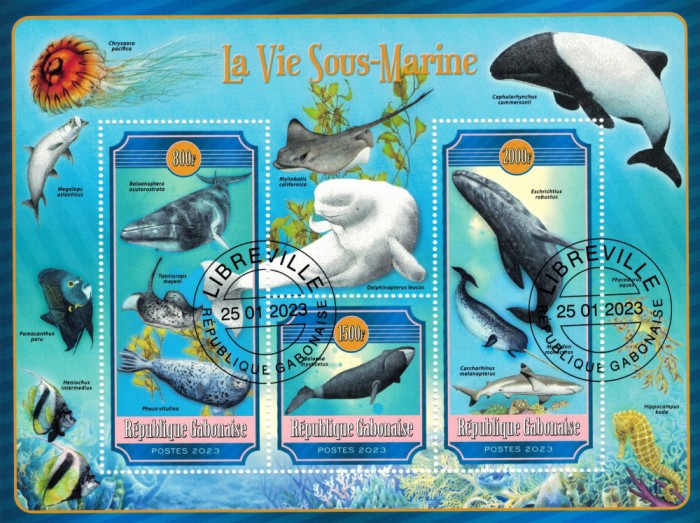 GABON 2023 - Fauna marina / set complet -colite+bloc (3 img.)