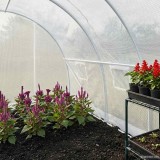 vidaXL Seră, 9 m&sup2;, 300 x 300 x 200 cm 45749