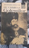 Pe urmele golestilor - Anastasie Iordache