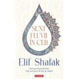 Sunt fluvii in cer - Elif Shafak