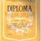 Diploma Pionier de frunte 1984 cu insigna atasata