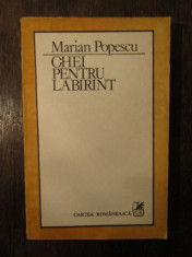 CHEI PENTRU LABIRINT - ESEU DESPRE TEATRUL LUI SORESCU ,D R POPESCU-M. POPESCU foto