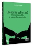 Economia subterana. Analiza informatiilor si cartografierea riscurilor - Dan-Andrei Coca