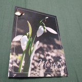 Cumpara ieftin CARTE POSTALA FELICITARE MARTISOR CIRCULATA