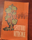 SFATURI VITICOLE/ 1961
