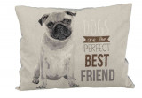 Cumpara ieftin Pernita Chipo 60 x 48 cm, Pug 38080, Trixie