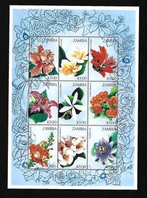 zambia mnh foto