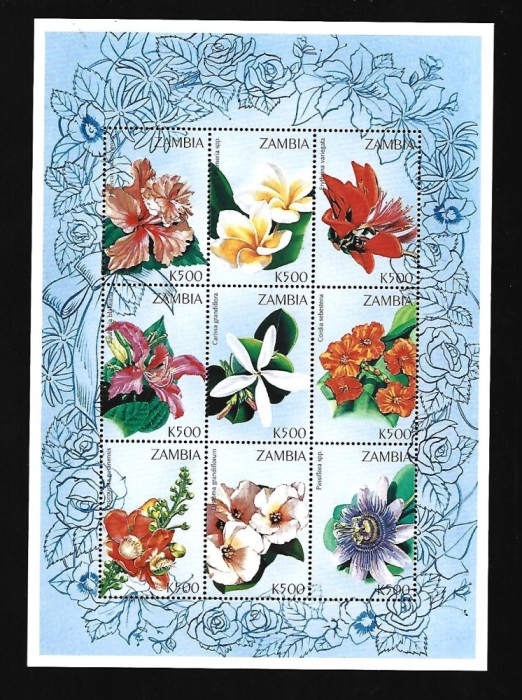 zambia mnh