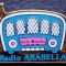 I.829 INSIGNA PIN RADIO ARABELLA