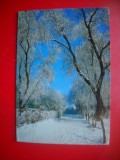 HOPCT 9125 CALENDAR PE ANUL 1990 -FELICITARE CRACIUN/ ANUL NOU LILIPUT -1 FILA -CIRCULATA