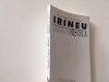 Arhiep. Irineu, Experienta Mistica a Parintilor Orientali. Editura Anastasia, 2005. Teologie Ortodoxa