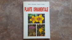 Plante Ornamentale - G. Mohan, 1997 foto