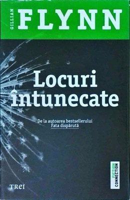 Gillian Flynn - Locuri intunecate foto