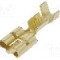 Terminal tip plat, pentru surub {{Orificiu pentru &amp;#351;urub}}, IMP - 770.08.00.3