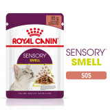 Royal Canin Sensory Smell, hrană umedă pisici, stimularea mirosului (&icirc;n sos), 85g