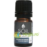 Ulei Esential de Tamaie (Frankincense) 5ml