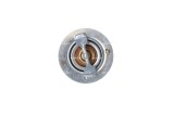 NRF 725119 termostat,lichid racire