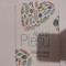 Despre Inima Andrei Plesu