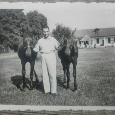 Barbat cu cai dintr-o ograda romaneasca// foto perioada interbelica