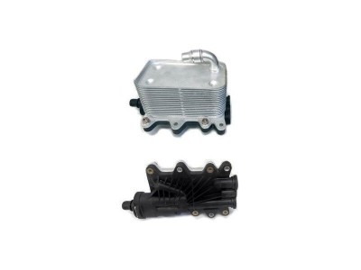 Radiator racire ulei motor, termoflot BMW Seria 5 E60/E61, 09.2005-03.2010, motor 2.0 d, 2.5 D, 3.0 d, diesel, 520d 525d 530d 535d 635d, 142x80x76 mm foto