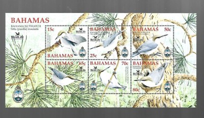 bahamas pasari mnh foto