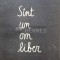 Sint un om liber - 1989 - Adrian Paunescu (R132)