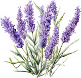 Cumpara ieftin Sticker decorativ, Lavanda, Mov, 62 cm, 1339STK-5