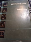 Georg Wilhelm Friedrich Hegel - Fenomenologia spiritului