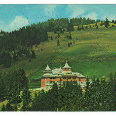 CPIB 18809 CARTE POSTALA - VATRA DORNEI. MOTEL RUNC