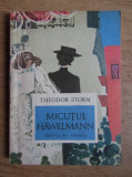 Theodor Storm - Micutul Hawelmann