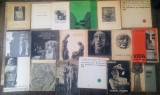 Lot 19 albume si brosuri despre sculptura