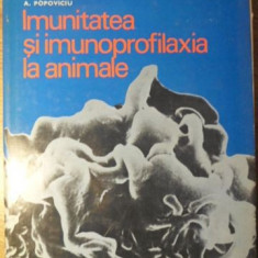 IMUNITATEA SI IMUNOPROFILAXIA LA ANIMALE-C. VIOR, H. RADUCANESCU, N. MANOLESCU, A. POPOVICIU