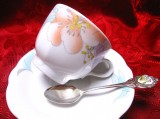 SET CEASCA CAFEA CU FARFURIE PORTELAN KAHLA SI LINGURITA CU MEDALION PORTELAN
