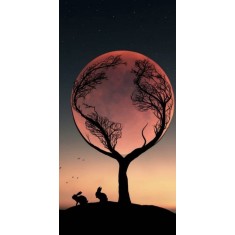Husa Personalizata SONY Xperia XA Ultra Embracing the moon