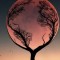 Husa Personalizata ALLVIEW X3 Soul Embracing the moon