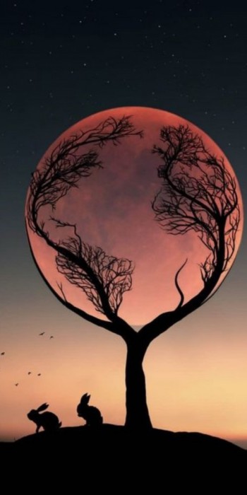 Husa Personalizata SAMSUNG Galaxy A70 \ A70s Embracing the moon
