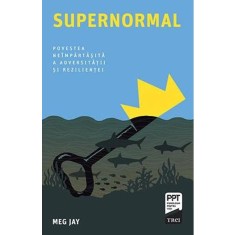 Supernormal - Meg Jay