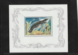 Belgia 1965-Fauna,Reptile,Testoasa cu carapace moale de pe Nil,MNH.Mi.Bl.33, Nestampilat