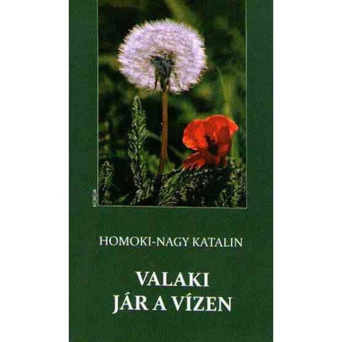 Valaki j&aacute;r a v&iacute;zen - Homoki-Nagy Katalin
