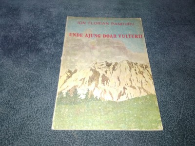 ION FLORIAN PANDURU - UNDE AJUNG DOAR VULTURII foto