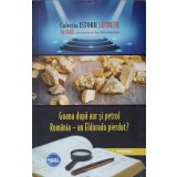 GOANA DUPA AUR SI PETROL. ROMANIA - UN ELDORADO PIERDUT?-DAN-SILVIU BOERESCU-236691