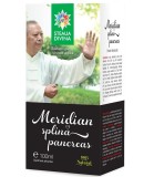 Tinctura Meridian Splina Pancreas Santo Raphael 100ml