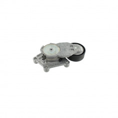 Intinzator curea FORD C-MAX DM2 DAYCO APV1076