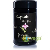 Prostal - Complex 100cps